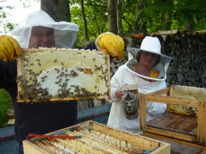 Stolzer Probeimker mit voller Honigwabe
